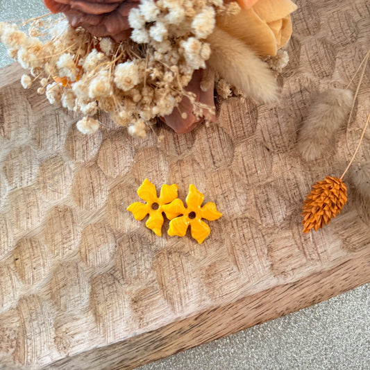 Alba - pampilles interchangeables