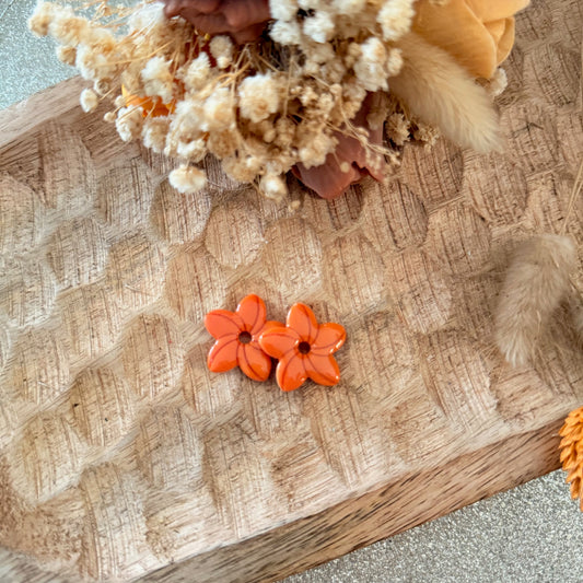 Alia - pampilles interchangeables