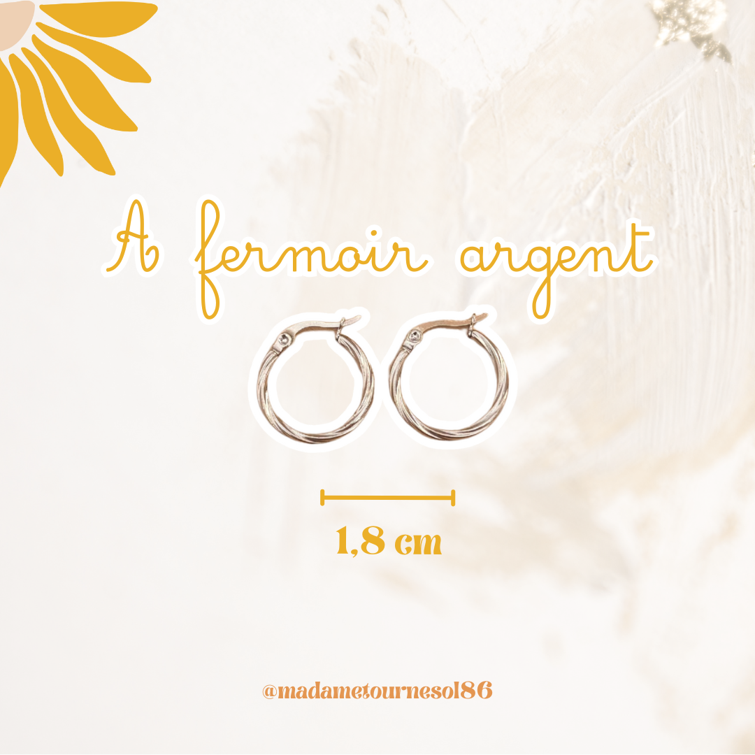 Créoles acier inoxydable