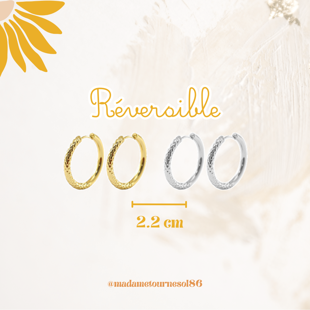 Créoles acier inoxydable