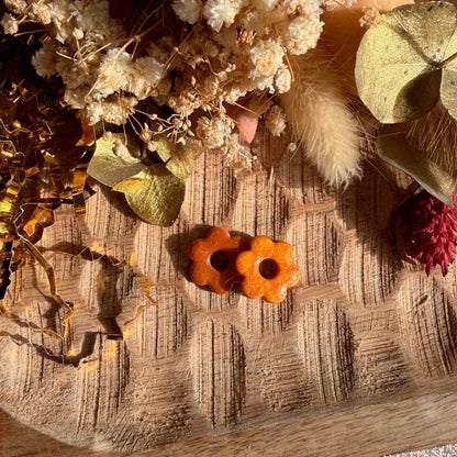 Eva - pampilles interchangeables