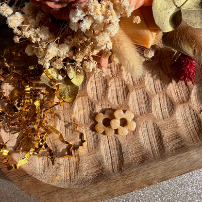 Gaïa - pampilles interchangeables