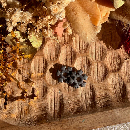 Neva - pampilles interchangeables