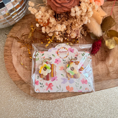 Box duo : eva + maxi eva